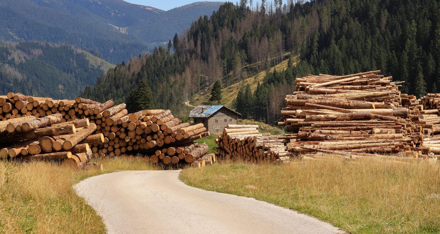 Paysage des Hautes-Laurentides, territoire de Transport Marcel Tourangeau